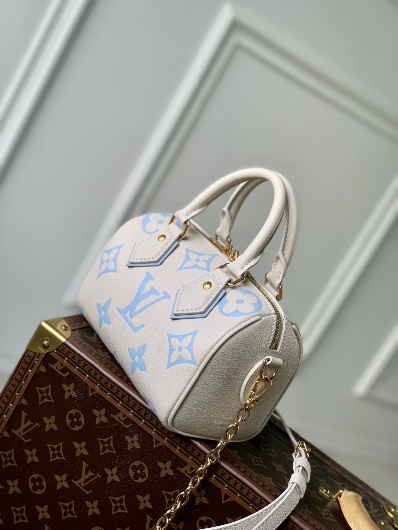 LV Travel Bags